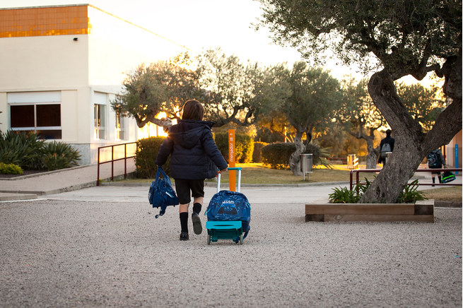 Visitas externas y transporte escolar
